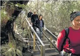  ??  ?? HOLDING OUT: Natanya Mulholland climbing on the Gordon Rock, left, and the group on the wooden walkway, above