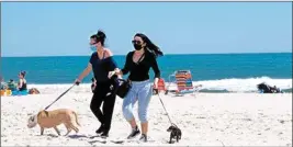  ?? PTI ?? Beachgoers wear face masks and walk dogs on the sand at Island Beach State Park in New Jersey, on the day New Jersey's state parks reopened after a closure brought on by the Coronaviru­s outbreak