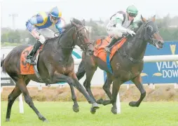  ?? Photo / Trish Dunell ?? Turn The Ace (outer) wins the Te Rapa feature.