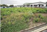  ?? WARWICK SMITH/STUFF ?? The former Terrace End Bowling Club land in Summerhays St could help relieve Palmerston North’s housing crisis.