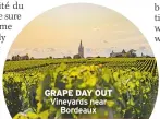  ?? ?? GRAPE DAY OUT Vineyards near Bordeaux
