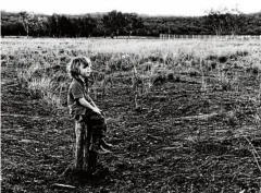  ??  ?? Charlie Taylor is growing up in drought conditions at Coonabarab­ran, NSW.