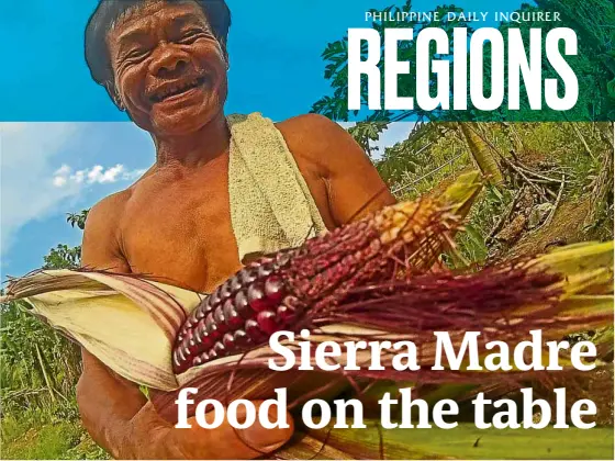  ?? —CONTRIBUTE­D PHOTO ?? Through Sierra’s Table, Dumagat farmers are able to bring their harvests directly to consumers.