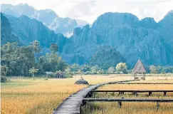  ??  ?? you hear the rice growing? If you can, you must be in Laos gCan