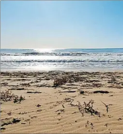  ?? TERESA LARRAZ DOMENECH / TLD ?? “Una playa desierta en un día de sol”