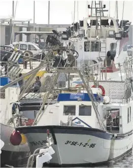  ?? Román Ríos / Efe ?? Barcos de pesca amarrados a puerto en Barbate.