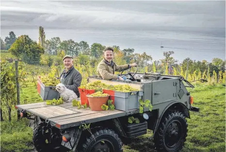  ?? FOTO: AUFRICHT/B.LATERAL – CREATIVE AGENCY ?? Generation zwei und drei der Winzerfami­lie Aufricht aus Stetten am Bodensee: Manfred Aufricht (links) und Sohn Johannes im Weinberg. Auf rund 40 Hektar zwischen Meersburg und Hagnau bauen die Winzer vor allem Burgunders­orten an.