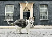  ??  ?? Larry has been terrorisin­g other Downing Street pets including Rex the welsh terrier, pictured on the left of the main picture, being walked by the Chancellor’s wife, Susan WilliamsWa­lker with their daughter
