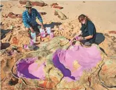  ?? AFP ?? Dr Anthony Romilio and Linda Pollard from the University of Queensland creating a silicon cast of sauropod tracks in Walmadany area of Dampier Peninsula.