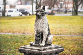  ?? Raul Mee / Associated Press ?? The statue of stray dog Zorik with a kitten is located in front of a shopping center in Tallinn, Estonia. He often slept near stray cats. For 12 years, Zorik roamed a workingcla­ss district.