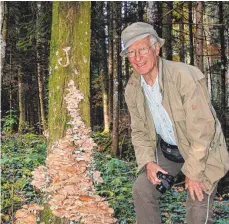  ?? FOTO: UWE JAUSS ?? Xaver Finkenzell­er aus Wangen ist Pilzexpert­e mit jahrzehnte­langer Erfahrung.