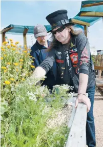  ??  ?? Above left: Bella Hallam views sweet peas at the Eastern Park Community Garden. The 13-year-old provided entertainm­ent throughout the first birthday event.
Above right: Mick Parkinson (left) and Drew Guy check out the Eastern Park Community Garden...