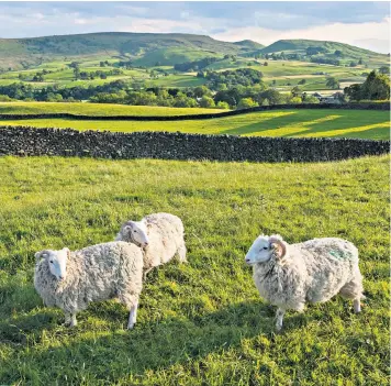  ??  ?? The British countrysid­e owes a lot to our farmers – and to National Parks, such as the Yorkshire Dales, which protect the farmland