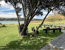  ?? PHOTO: VIRGINIA FALLON/FAIRFAX NZ ?? It is likely other regional parks will follow Onehunga Bay and have some areas where dogs must be leashed.