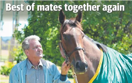  ??  ?? REUNITED: The Cleaner with trainer Mick Burles at Armidale Stud yesterday.