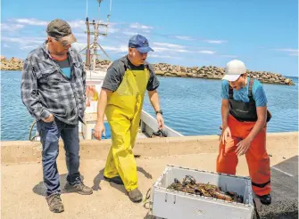  ?? JESSICA SMITH • CAPE BRETON POST ?? From left, Nate Boone’s grandfathe­r Willie Cadden, his father Gil Boone and Nate load a crate of lobsters.