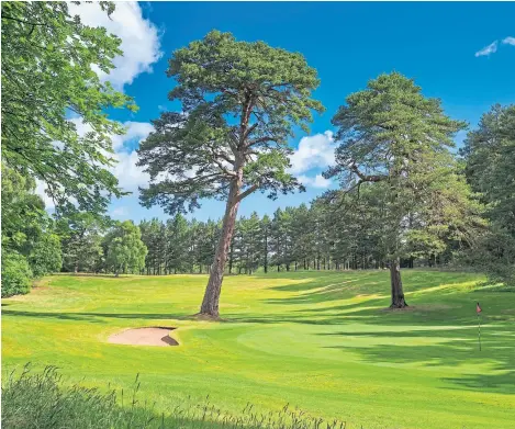  ??  ?? A fairway to put a smile on your face... the Wee Course at Blairgowri­e Golf Club.
