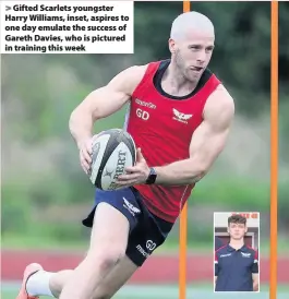  ??  ?? > Gifted Scarlets youngster Harry Williams, inset, aspires to one day emulate the success of Gareth Davies, who is pictured in training this week