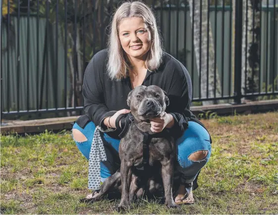  ?? Picture: JERAD WILLIAMS ?? A much-relieved Aleisha Keast with Ripper who is back in her care after disappeari­ng from her Nerang yard last week.