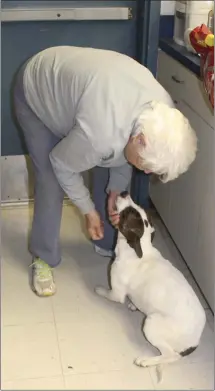  ?? Katie West • Times-Herald ?? Denny Edwards, one of several volunteers who spend endless hours at the Forrest City Animal Shelter, is greeted upon arrival by one of the shelter’s animals. Edwards is a member of the St. Francis County Humane Society. The group is always accepting donations of items to help the animals.