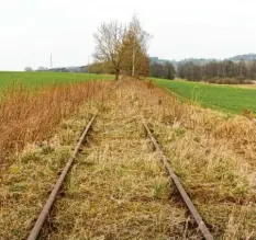  ?? Archivfoto: Baumberger ?? Vielleicht ist bald wieder freie Fahrt auf den Schienen der Staudenbah­n. Der Landkreis setzt sich für eine Reaktivier­ung des Abschnitte­s zwischen Ettringen und Türkheim ein.