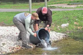  ?? PAUL A. SMITH ?? Todd Durian (left), president of the Southeast Wisconsin chapter of Trout Unlimited, and Steve Gospodarek, a Department of Natural Resources fisheries technician, place rainbow trout into the pond at Paradise Springs in the Kettle Moraine State Forest - Southern Unit near Eagle. The club paid for the hatchery fish to assist the state agency in its restoratio­n efforts at the site.