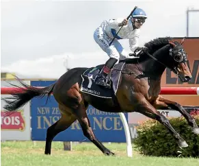  ?? TRISH DUNELL ?? Catalyst cruises to victory in the Hawke’s Bay Guineas last month and seeks win No 4 at Riccarton tomorrow in the prestigiou­s 2000 NZ Guineas.