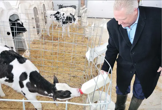  ?? ROB GOWAN ?? Ontario Progressiv­e Conservati­ve Party Leader Doug Ford donned rubber boots late last week while touring Albadon Farms near Owen Sound during a campaign stop.