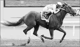  ?? DUSTIN ORONA PHOTOGRAPH­Y ?? Chief Cicatriz wins the David M. Vance Sept. 27 at Remington Park with a 102 Beyer Speed Figure.