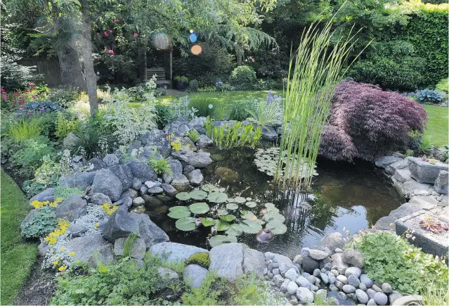  ?? PHOTOS: WAYNE LEIDENFROS­T/ PNG ?? The garden of Jennifer Buckland and Van Eriksen is one of the highlights of the third annual Heritage Vancouver Garden Tour taking place June 21 and 22.