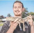  ?? Picture: JASON EDWARDS ?? SHOCK: Snake catcher Mark Pelley was called in by police to catch a crocodile that was wandering the streets in Melbourne.