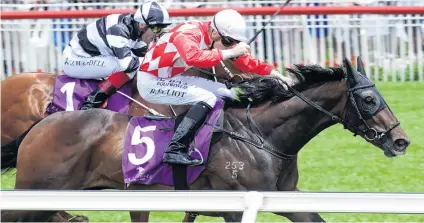  ?? PHOTO: TRISH DUNELL ?? Stepping up . . . Hypnos has trained on well since his Uncle Remus Stakes win (above) and should go a big race in the Levin Classic at Trentham tomorrow, his connection­s say.
