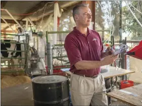  ?? PHOTO KARIN HIGGINS, UC DAVIS ?? Frank Mitloehner, UC Davis professor and air quality specialist, is researchin­g ways to reduce greenhouse gas emissions from cows. In this experiment, he’s added an essential oil to the cow’s feed.