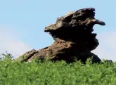  ??  ?? Above: Disappeari­ng into the mist. Below left: A rock ion the shape of Colonel Gadaffi. Below right: Frances under a giant mushroom.