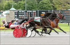  ?? PHOTO BY MELISSA SIMSER-IOVINO ?? Horses run Saratoga Casino Hotel’s harness racing track.