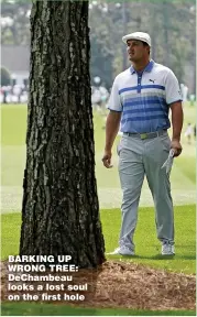  ??  ?? BARKING UP WRONG TREE: DeChambeau looks a lost soul on the first hole