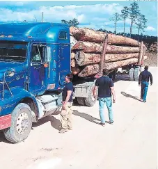  ?? FOTO: EL HERALDO ?? En los operativos se constató la permanenci­a militar en la zona y los permisos para transporte de madera de la cuenca.