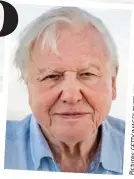  ??  ?? Tripped up by chicken: Sir David Attenborou­gh