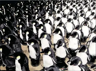  ?? PHOTO COURTESY BITFORMS GALLERY, NEW YORK, PHOTO BY JOHN BERENS. ?? Daniel Rozin’s “Penguins Mirror” incorporat­es 450 stuffed animals, motors, control electronic­s, Xbox Kinect, Mac mini and custom software.