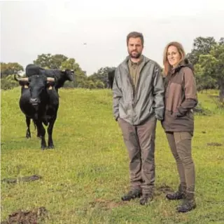  ?? // MATÍAS NIETO ?? Felipe Silvela y Valle Trincado tienen una explotació­n de ganado vacuno cerca de Ávila. Este año han sufrido cuatro ataques de lobo