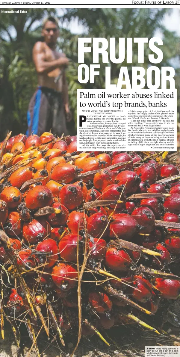  ?? (AP/Binsar Bakkara) ?? A worker loads heavy bunches of palm oil fruit into a cart on a palm oil plantation in Sumatra, Indonesia.