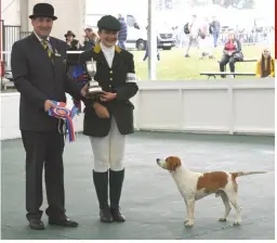  ??  ?? David Wallace presents the trophy for the beagle dog championsh­ip to the Old Berkeley’s Murton 18, with huntsman Hannah Smith