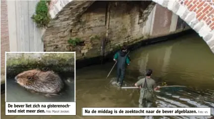  ?? Foto: Marcel Jonckers
Foto: vrs ?? De bever liet zich na gisterenoc­htend niet meer zien.
Na de middag is de zoektocht naar de bever afgeblazen.