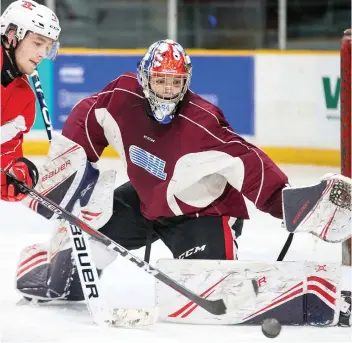  ?? WAYNE CUDDINGTON ?? The trade for goaltender Mike DiPietro by the Ottawa 67’s from the Windsor Spitfires on Dec. 4 has helped the 67’s reach the Christmas break ranked No. 3 in the CHL.