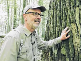  ?? MONGREL MEDIA ?? Peter Wohlleben is no tree hugger, though he doesn’t mind getting close.