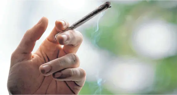  ?? FOTO: FABIAN SOMMER/DPA ?? Die Ampelparte­ien wollen Cannabis für den Genuss 2023 legalisier­en. Doch wie stehen die Abgeordnet­en aus dem Wahlkreis Biberach dazu?