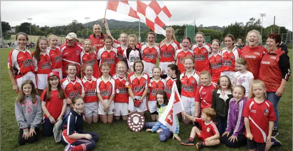  ??  ?? Valleymoun­t, who defeated Coolkenno in the Under-14 ‘B’ Cup final in Bray last weekend. Photos: Barbara Flynn