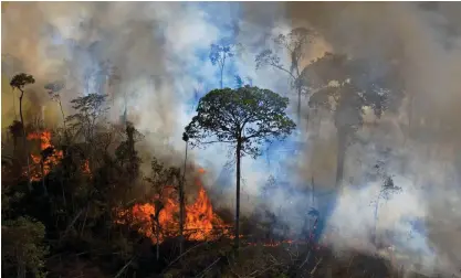  ?? FOTO: CARL DE SOUZA/LEHTIKUVA-AFP ?? ■ Skogsbrand i Amazonas i Brasilien, där artrikedom­en är enorm, men avverkning­stakten ohållbar.