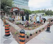  ??  ?? Volunteers de-paved and planted the Jiimaan’ndewemgadn­ong site over the summer of 2019. Later this fall, the pocket park will be completed with the addition of a canoe art installati­on designed by local artist Tia Cavanagh.