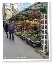  ?? ?? Amsterdam Flower Market